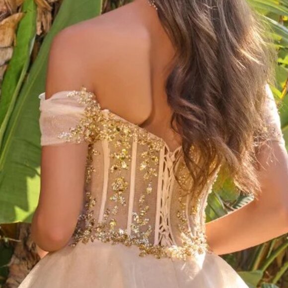 New Off Shoulder Short Special Occasion Mesh Dress w/ Sheer Boned Bodice GS3684 - Picture 8 of 9